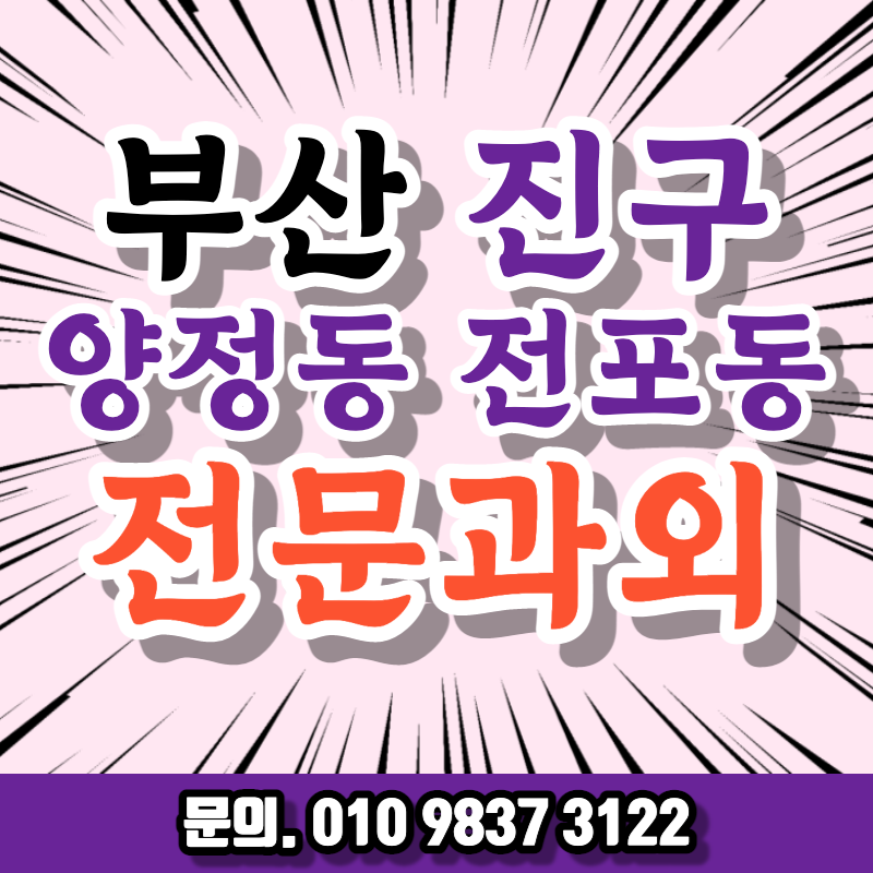  부산진구 영어 과외 부전역 근처 직장인 취업준비 중국어 오픽 기초일본어 비즈니스회화