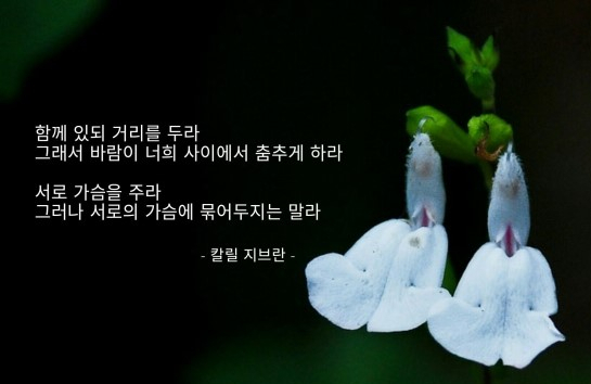  273번째 선물 - 간격(間隔)을 유지하라.