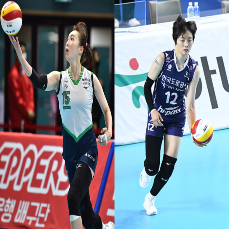  여자배구 현대건설 도로공사 11월17일 경기예상(야스민 양효진 황민경 켈시 박정아 정대영)