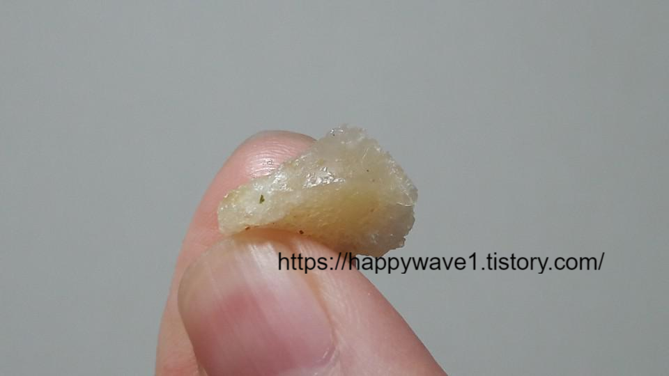  식품 이물질 신고하는 법 (경험담)