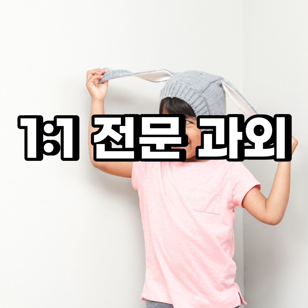  안성 초등 영어과외 영동 봉남동 중등 고등 국어 수학과외 검정고시