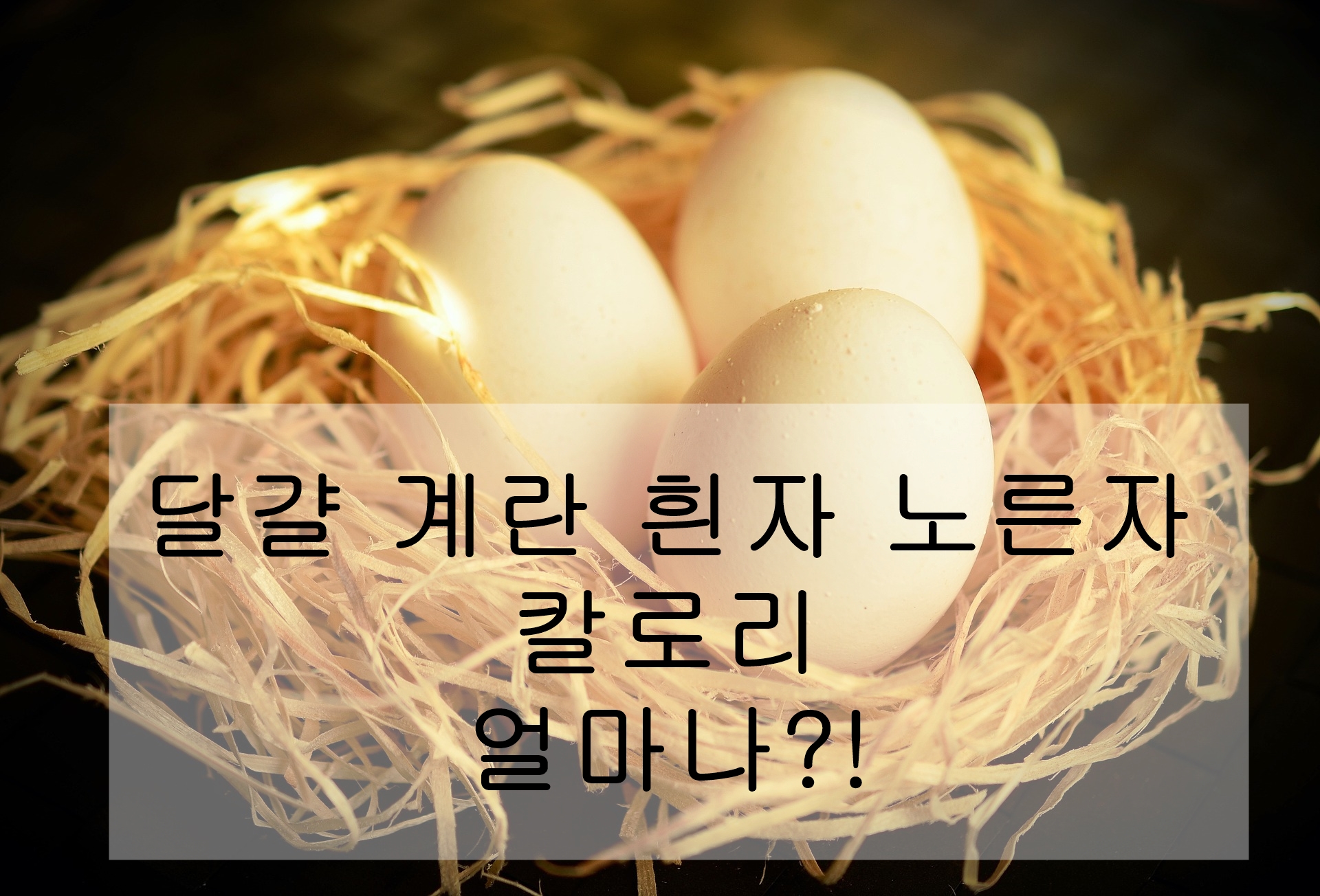 달걀 계란 흰자 노른자 칼로리 얼마나?!