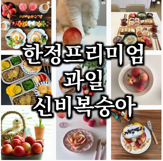  품절대란 먹기 힘든 신비복숭아. 어딧니