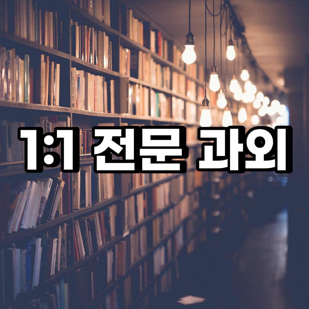  평택 초등 영어과외  동두천 안산 중학생 중등 고등 국어 수학과외