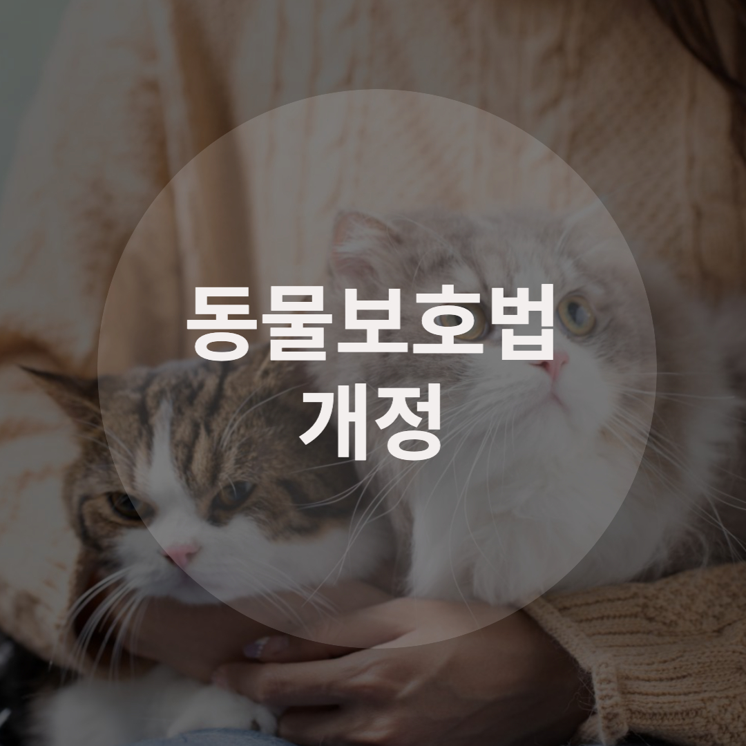  동물보호법 개정, 자세히 알고 계시나요?