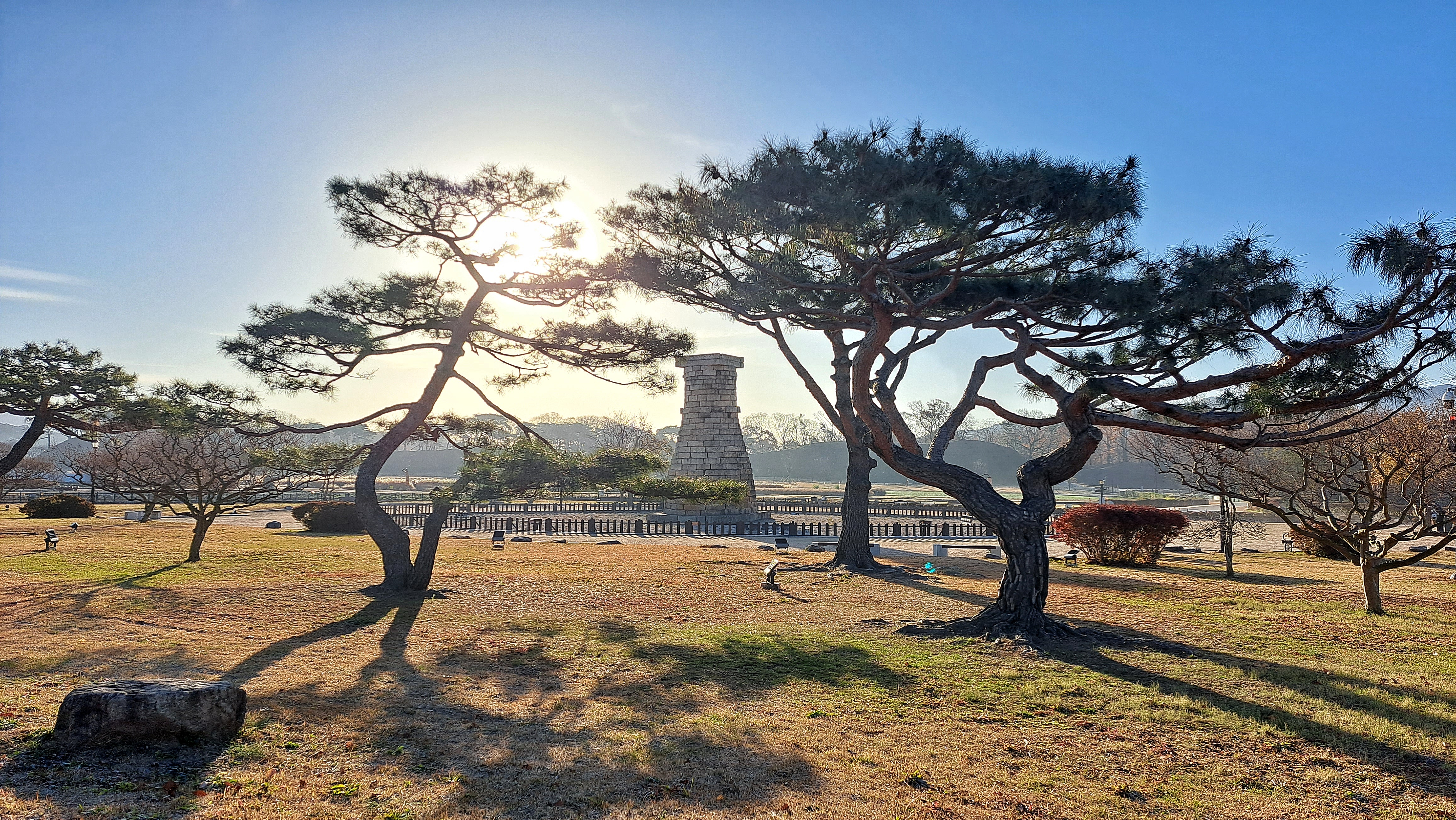  늦가을 첨성대 주변 동부사적지대 산책