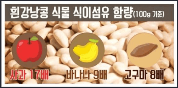  흰 강낭콩 많이 먹으면 내장 지방을 빼준다? 흰 강낭콩 효과 효능 BEST 5!