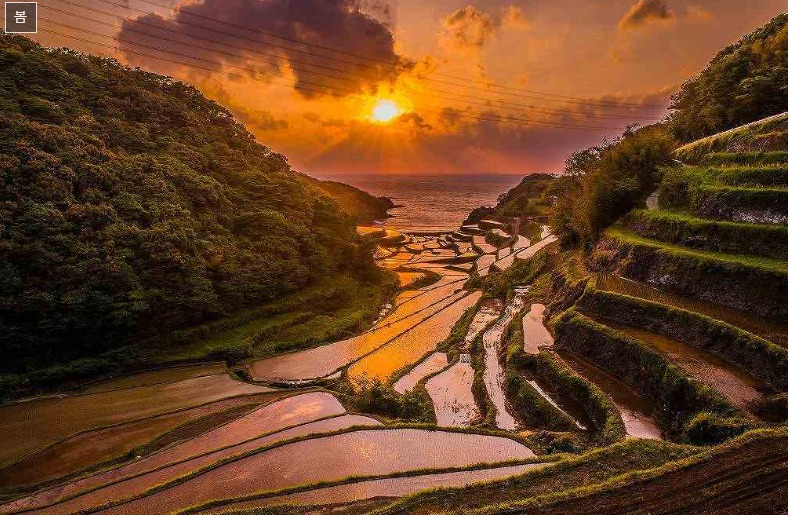 일본의 옛 아름다운 시골 하마노우라 계단식 논