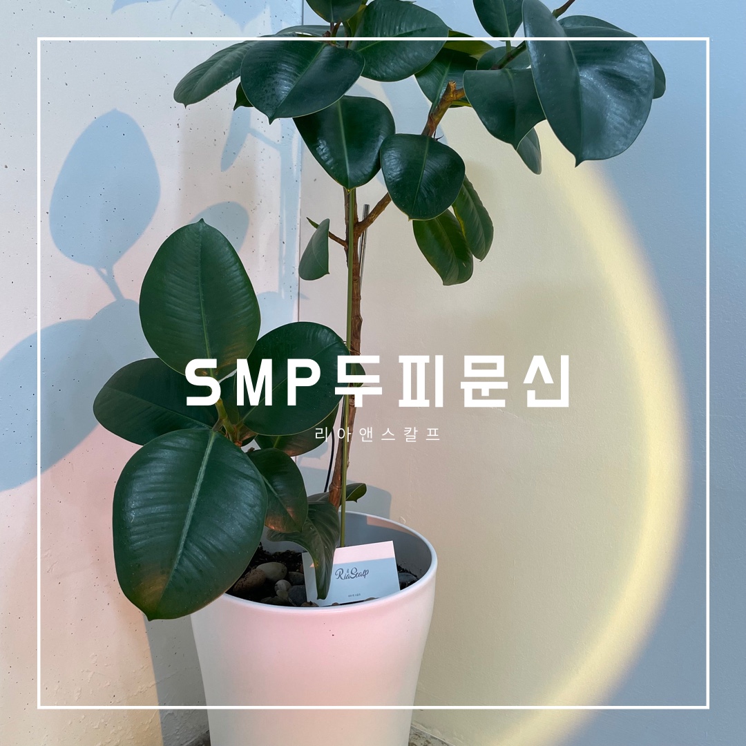  대구두피문신잘하는곳/ 리아앤스칼프/ SMP 두피문신이란?