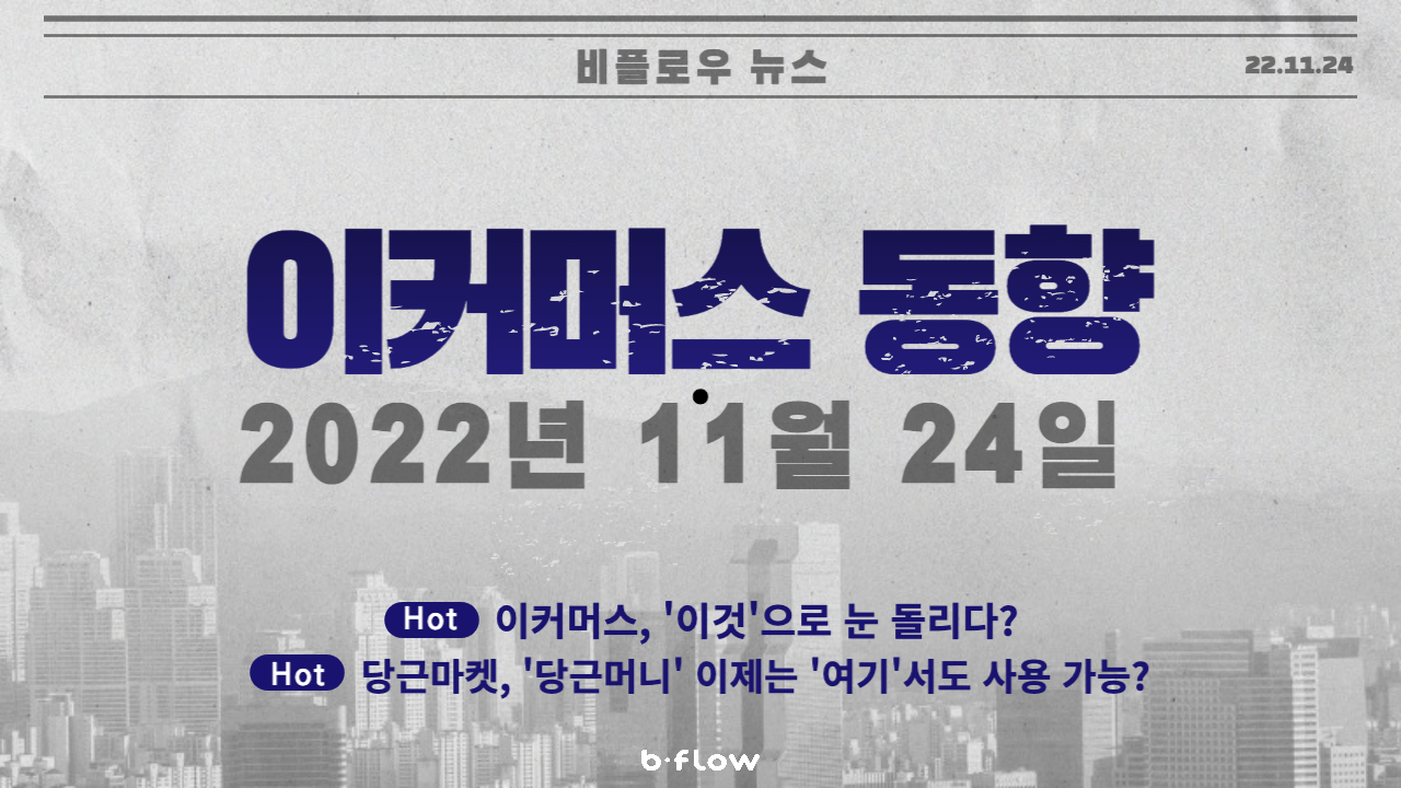 [데일리 이커머스 뉴스] 22.11.24 이커머스 동향 한 눈에 보기!