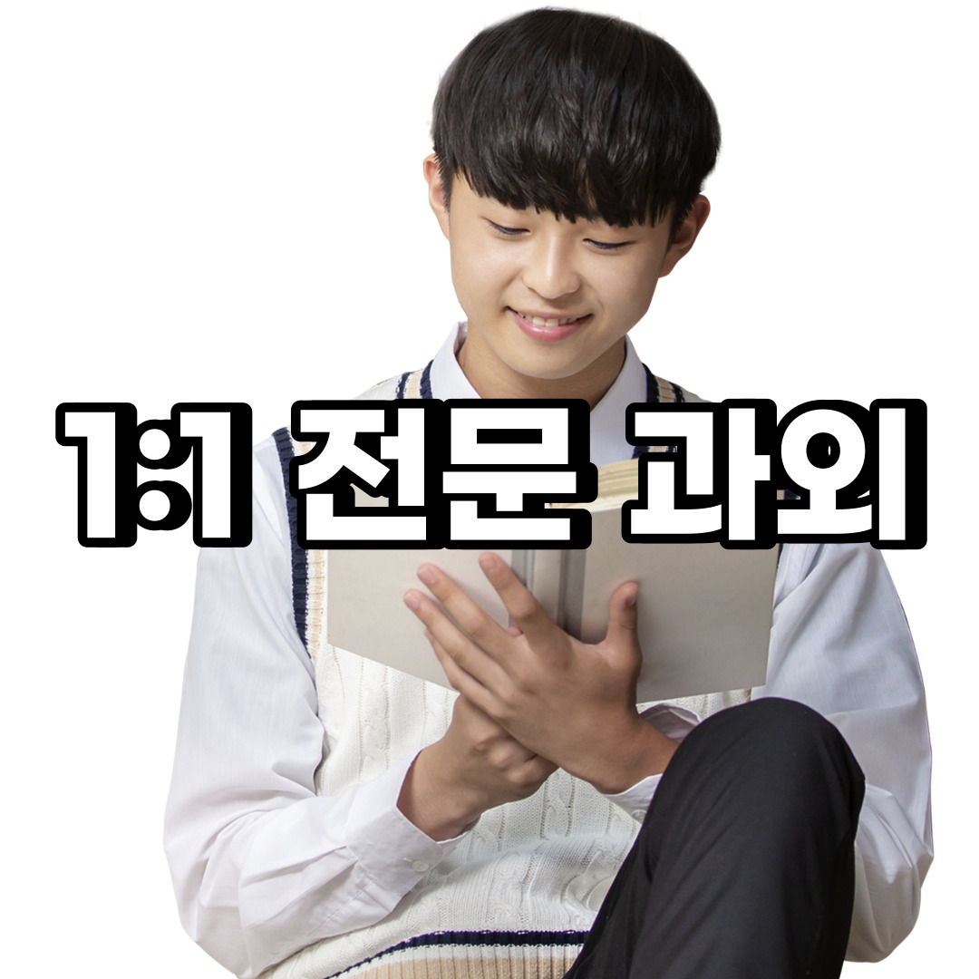  금천구 초등 영어과외 시흥동 중등 고등 국어 수학과외