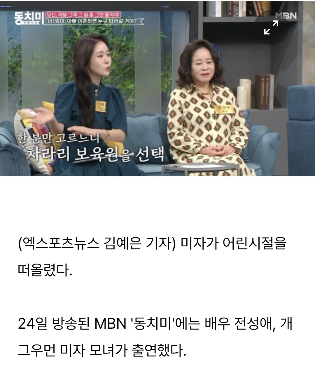  미자 