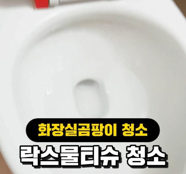  청소업체에서도 안알려주는 화장실 락스 청소법 Best3!