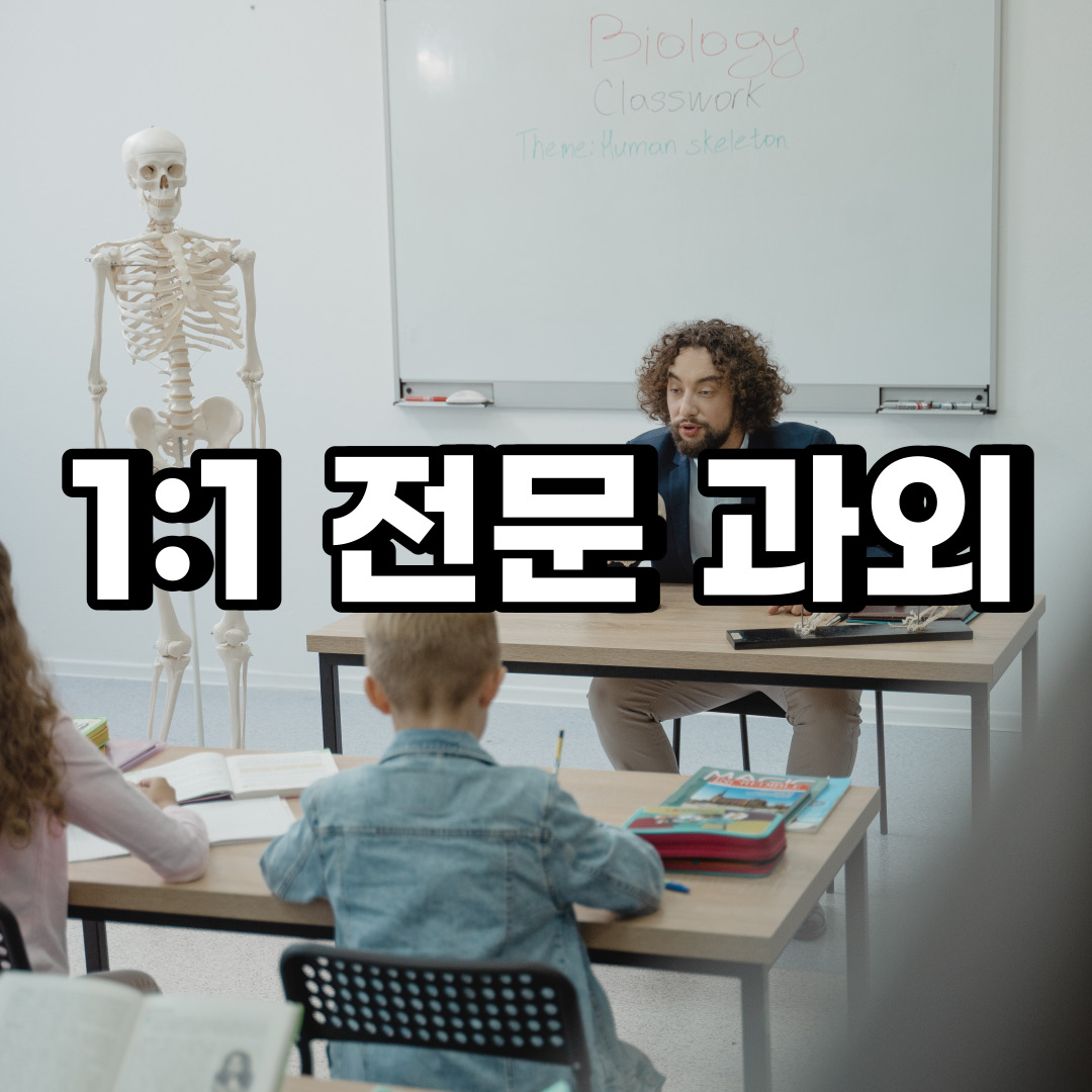  부산영도구 초등 영어과외 부산진구 동래구 중학생 중등 고등 국어 수학과외