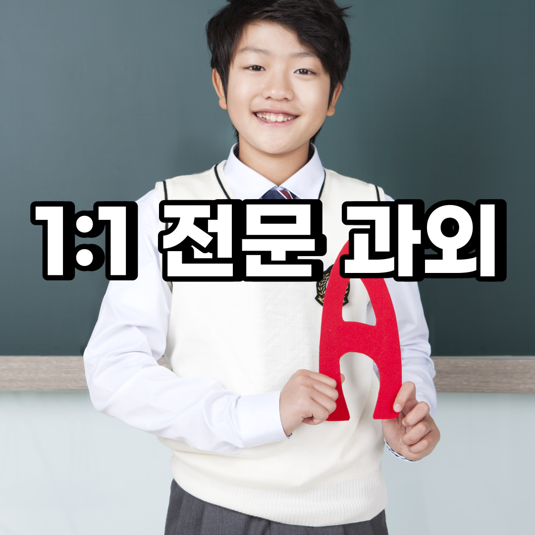  덕양구 초등 영어과외 주교동 원당동 중등 고등 국어 수학과외 검정고시