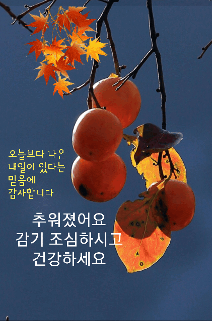  오늘의 좋은글 177번째