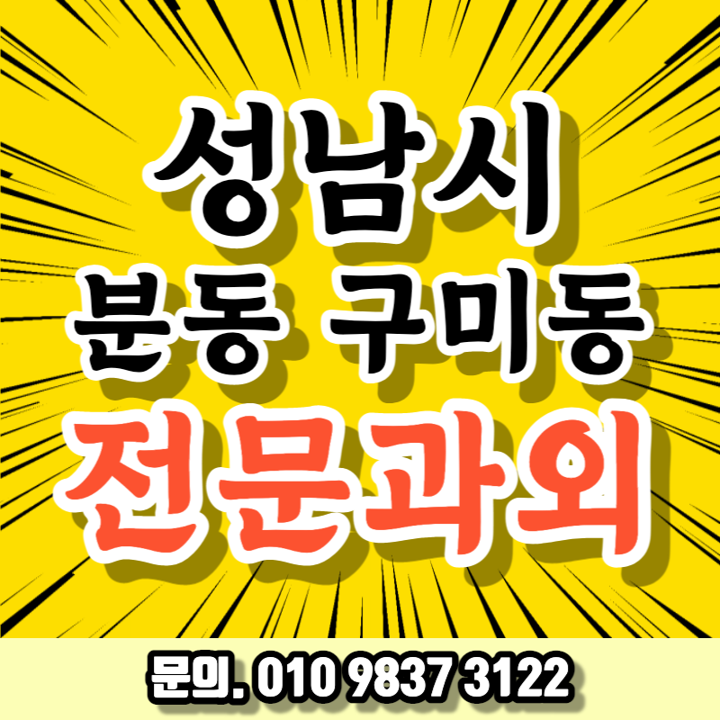  판교 수학 과외 수내역 근처 분당 고등학교 영어 기출 중등 한국지리 내신과외 불정초