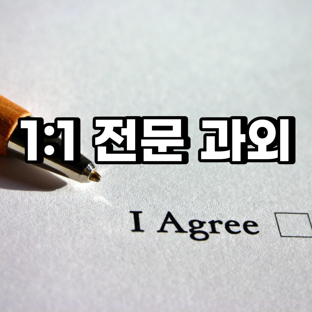  동안구 초등 영어과외 평촌동 호계동 중등 고등 국어 수학과외 검정고시