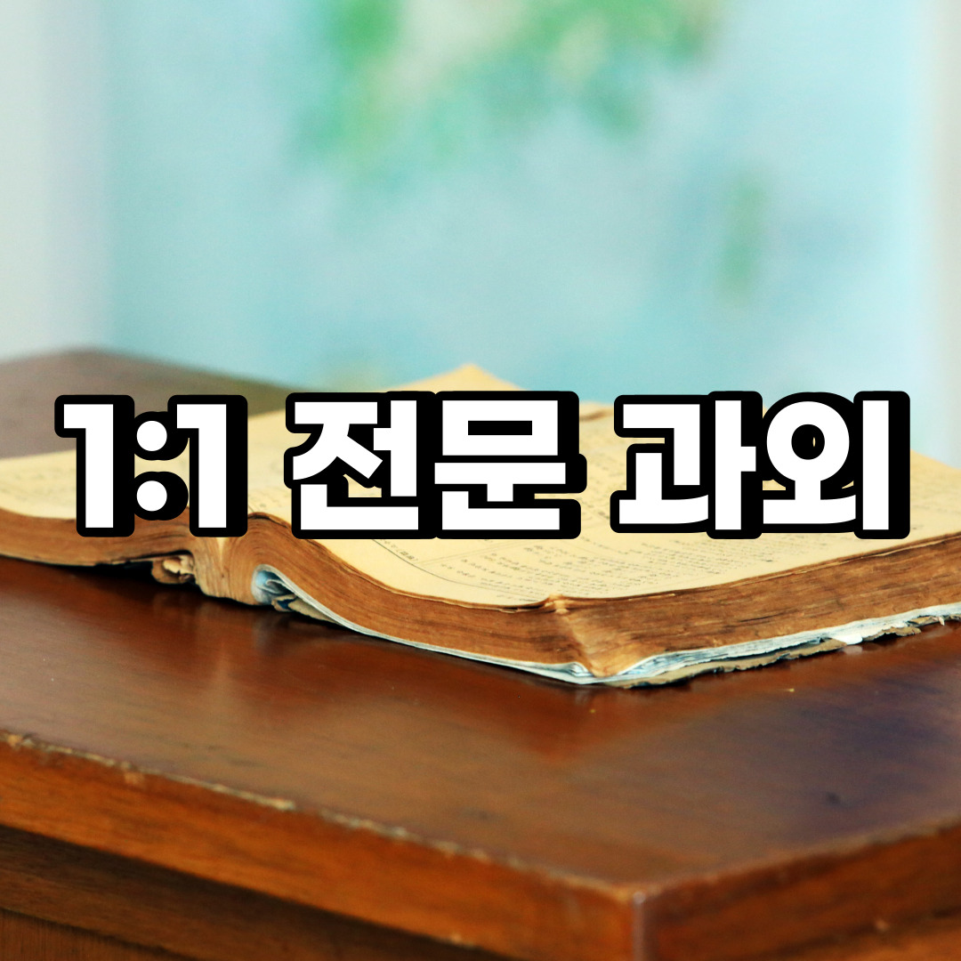  성동구 초등 영어과외 금호동 옥수동 중학생 중등 고등 국어 수학과외