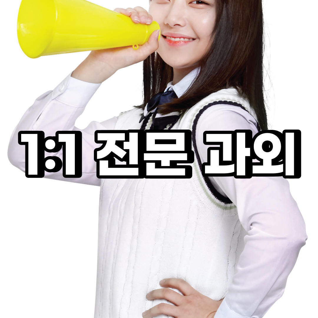  금산 초등 영어과외 부여 서천 중학생 중등 고등 국어 수학과외