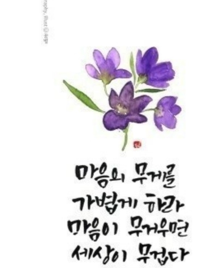  오늘의 좋은글 143번째