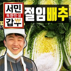  김장철 준비완료. 절임배추 10종 비교