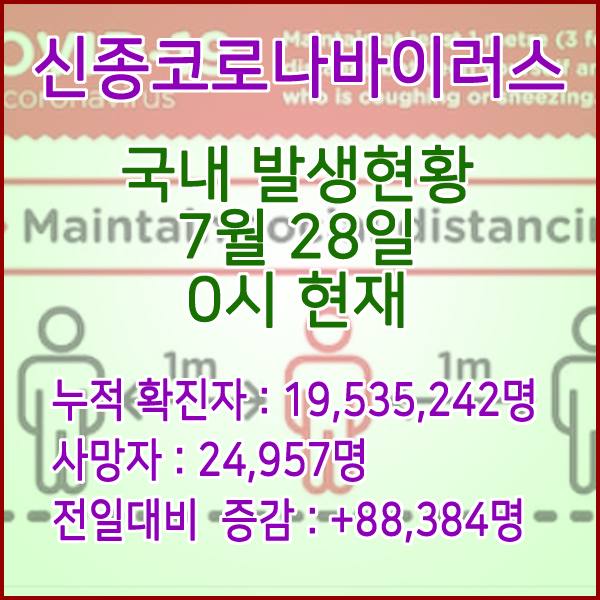  코로나19(코로나바이러스) 7월 28일 0시 신규확진자 88,384명 / 사망자 24,957명