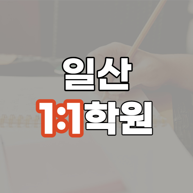  일산서구 일대일 고3전문 수능학원 내신대비 중2 국어 영어문법 탄현마을 일산역 일산동