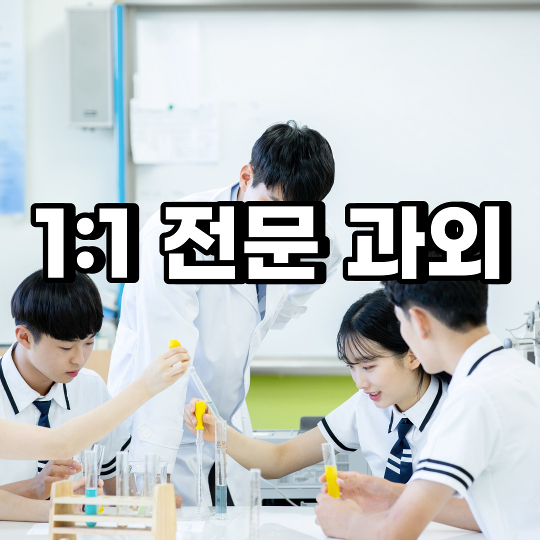  과천 초등 영어과외 주암동 중앙동 중등 고등 국어 수학과외 검정고시