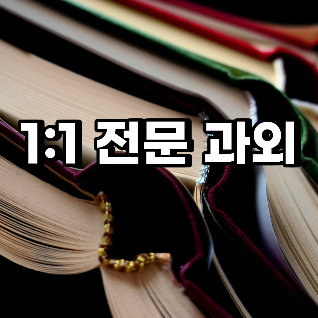  분당구 초등 영어과외 율동 서현동 중등 고등 국어 수학과외 검정고시