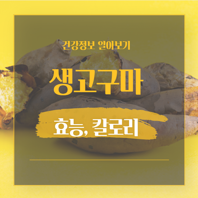  생고구마 효능, 생고구마 칼로리, 다이어트 방법, 부작용 등등 건강정보