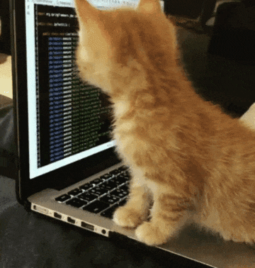  [에디터] html, css만 쓰는 사용자의 vscode 설정
