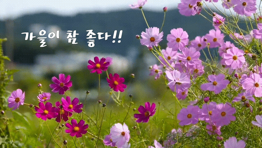  자기개발글쓰기 40일차