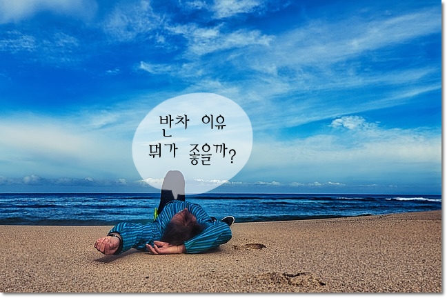  회사 반휴(반차) 이유만들기, 변명 13가지