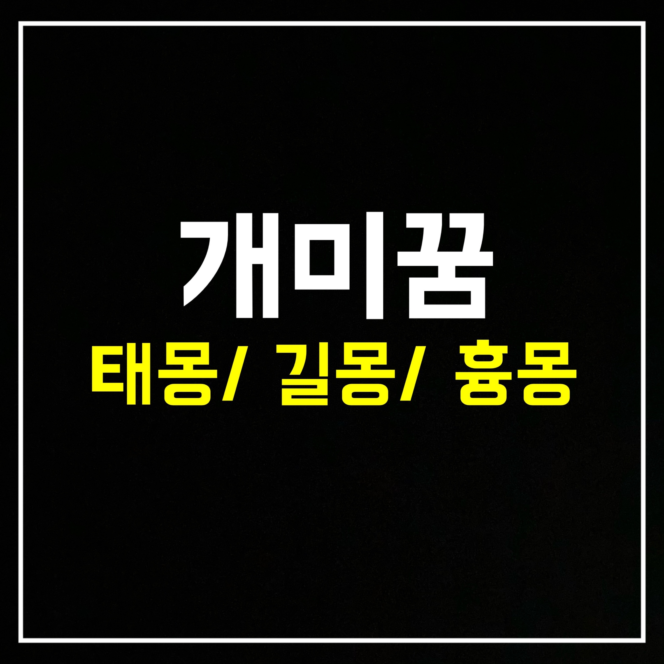  [곤충꿈] 개미꿈은 어떤 의미일까? 태몽/길몽/흉몽 총정리