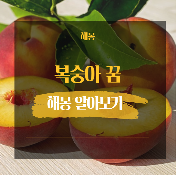  복숭아 꿈해몽 해석 모음 13가지 [ 썩은 잘익은 덜익은 꽃 등 ]