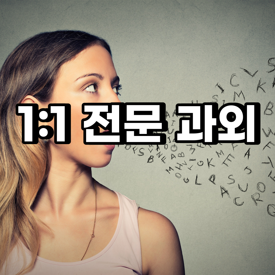  분당구 초등 영어과외 대장동 석운동 중등 고등 국어 수학과외 검정고시