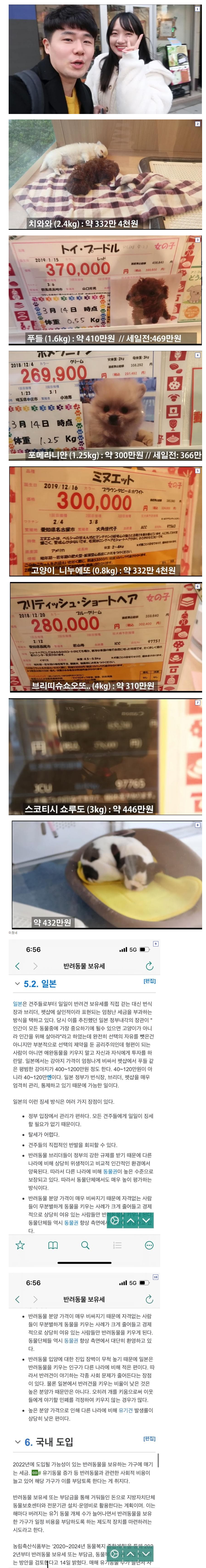  일본 애완동물 가격