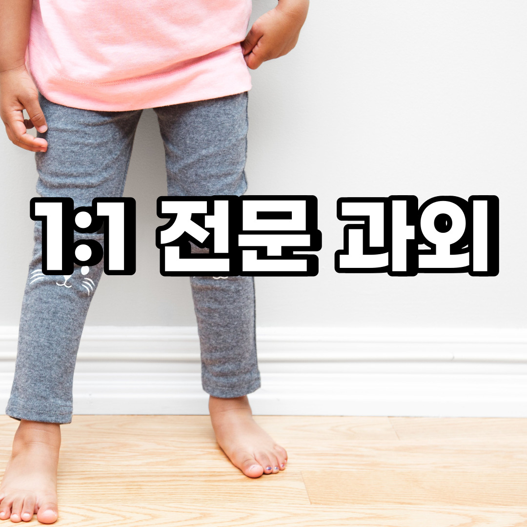  안성 초등 영어과외 죽산면 삼죽면 중등 고등 국어 수학과외 검정고시