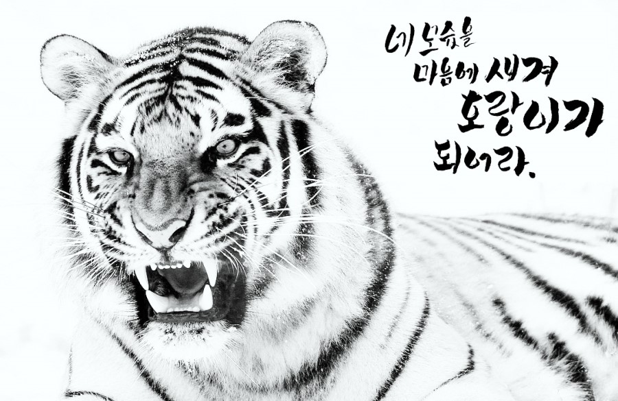  218번째 선물 - 신이 기다리는 사람