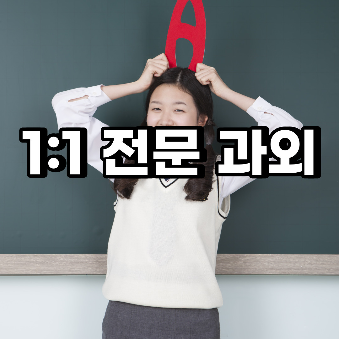  덕양구 초등 영어과외 신원동 원흥동 중등 고등 국어 수학과외 검정고시