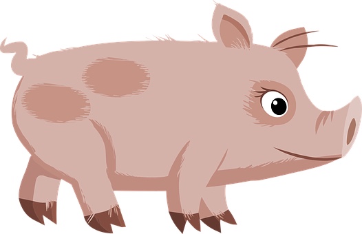 [동물꿈] 돼지꿈은 어떤 의미일까? 태몽/길몽/흉몽 총정리 (돼지꿈풀이, 돼지나오는꿈, 돼지꿈태몽, 돼지꿈해몽, 돼지꿈로또, 돼지꿈복권 등)