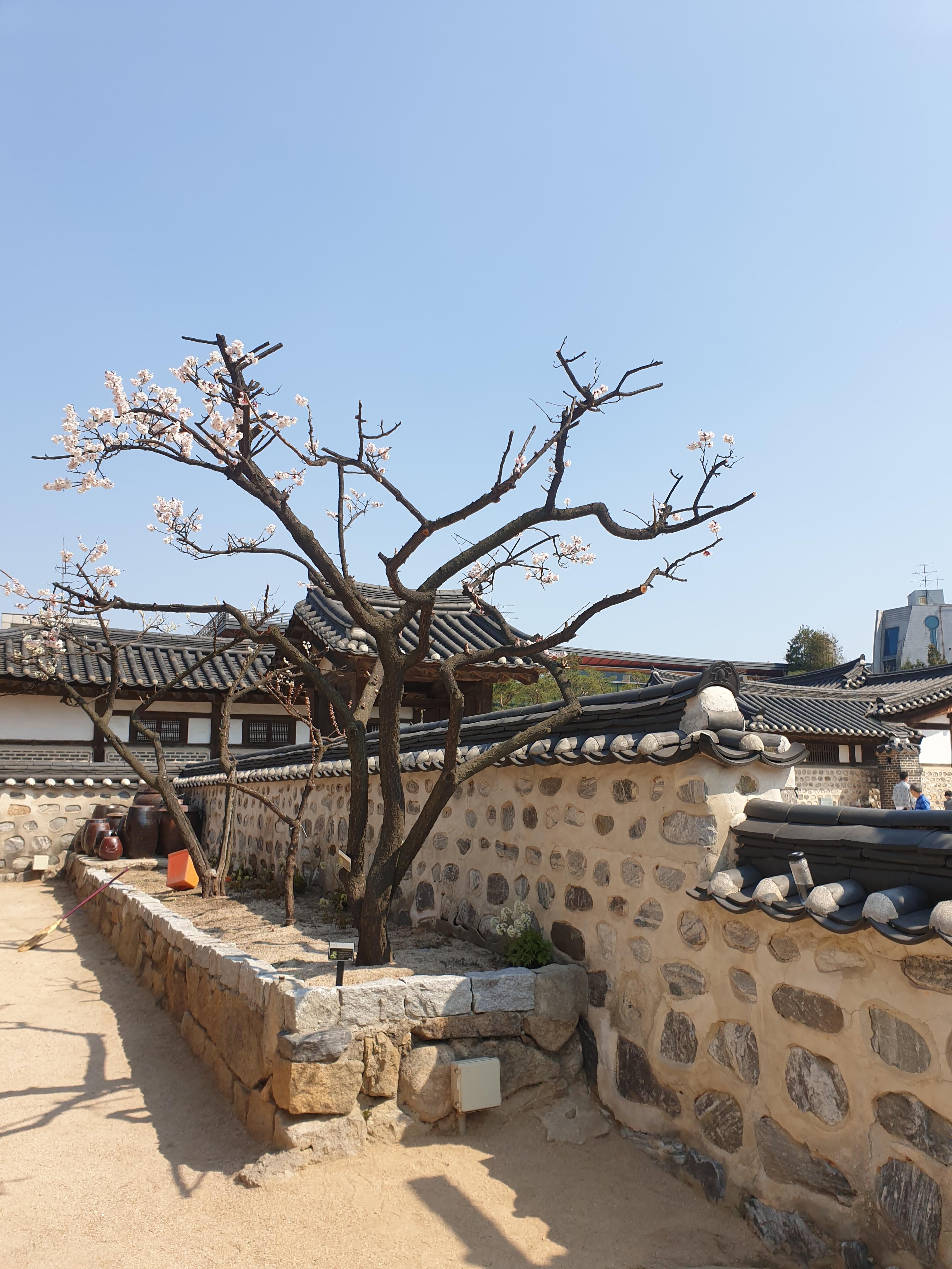  남산골한옥마을