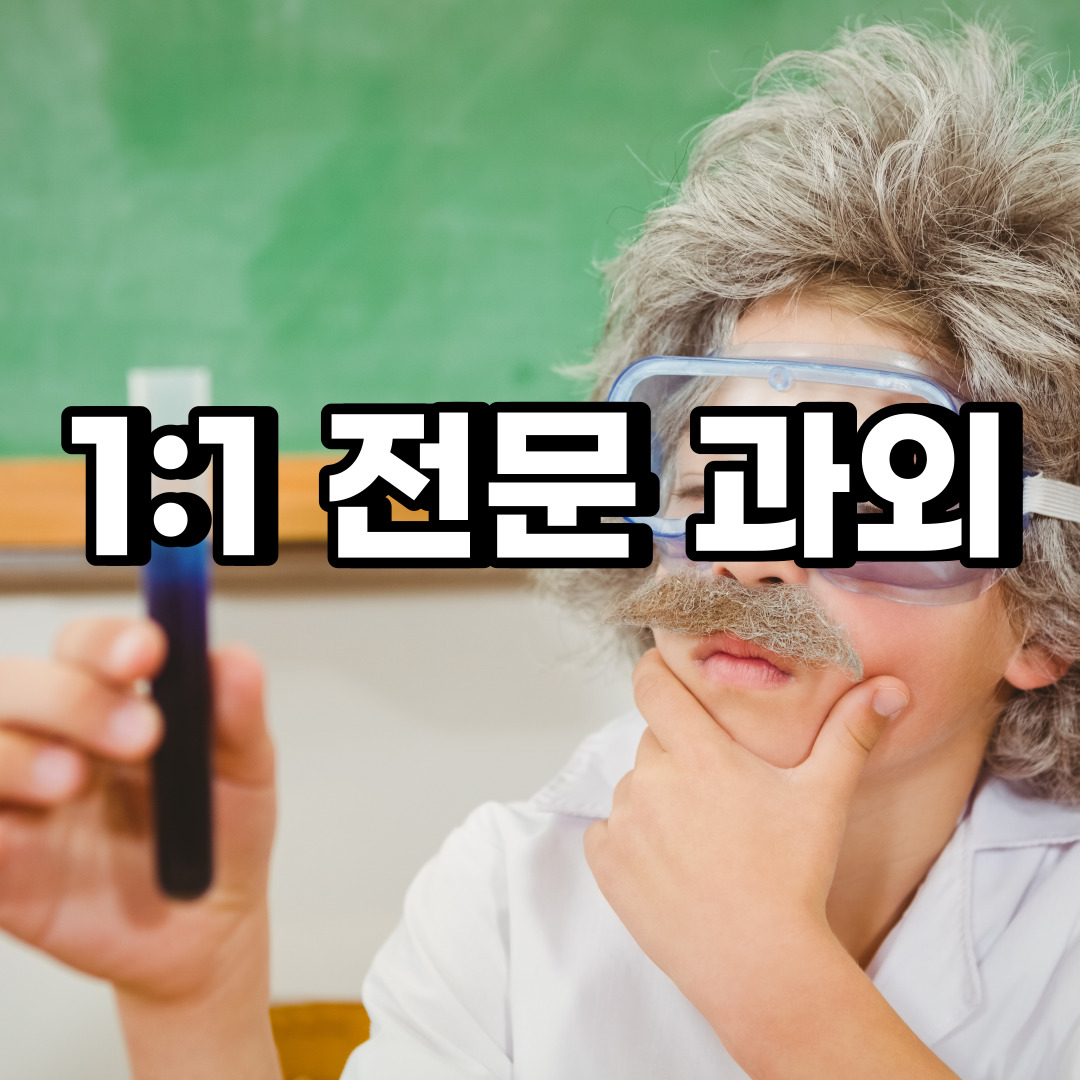  관악구 초등 영어과외 서원동 신원동 중등 고등 국어 수학과외 검정고시