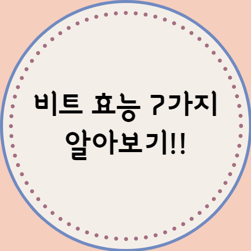 비트 효능 및 부작용 7가지