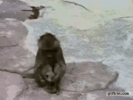  [거울로 본인 얼굴 볼 때 반응]