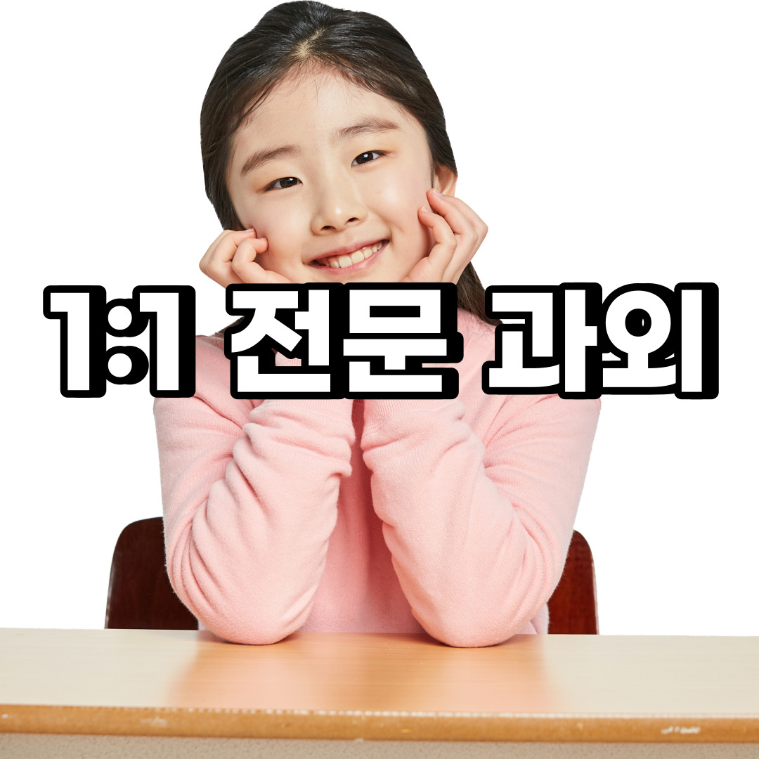  장안구 초등 영어과외 파장동 정자동 중등 고등 국어 수학과외 검정고시