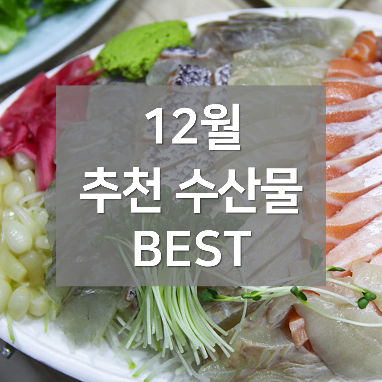  [겨울 회 추천] 12월에 가장 맛있는 수산물 BEST