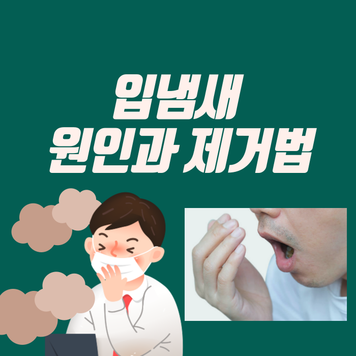  입 냄새 원인과 제거법