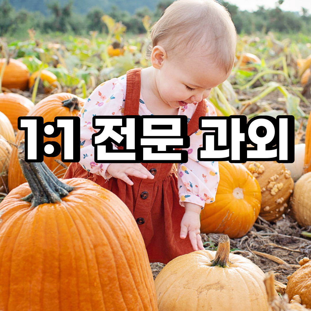 화성 초등 영어과외 방교동 금곡동 중등 고등 국어 수학과외 검정고시
